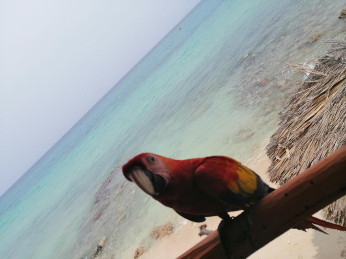 Playa Tortuga Cabana Playa Blanca Zewnętrze zdjęcie